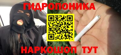 кокс Донской