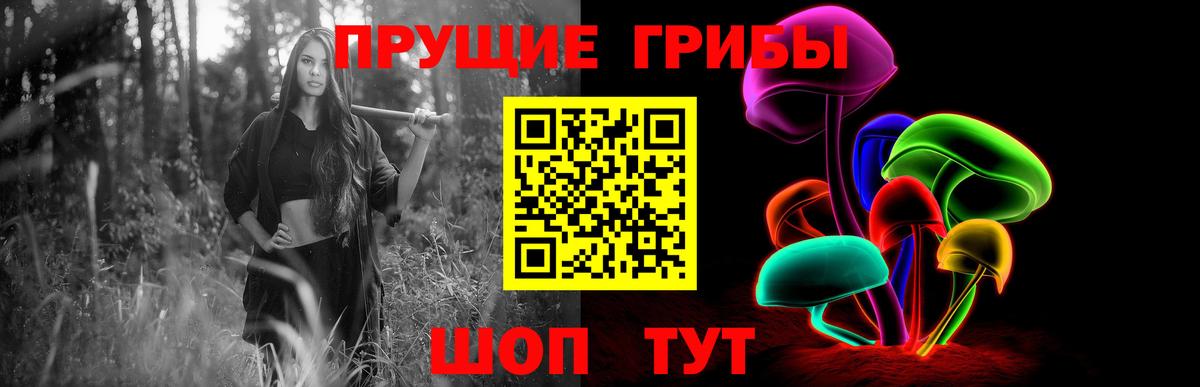Медногорск  Галлюциногенные грибы GOLDEN TEACHER  Вход с VPN 